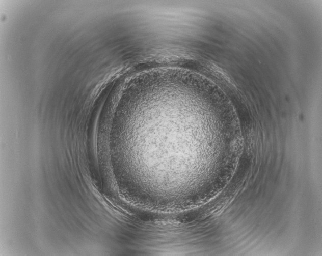 X0000060810644200511141507