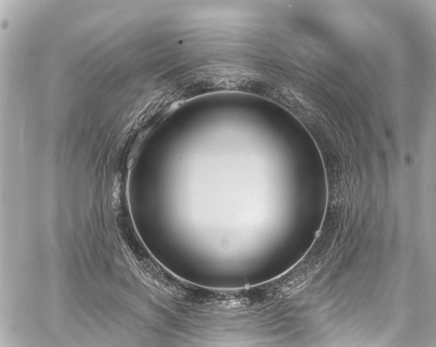 X0000060810646200511141507