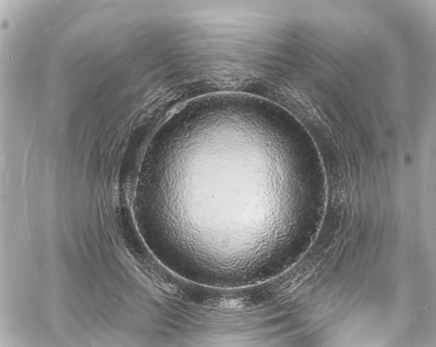 X0000060810647200511141507