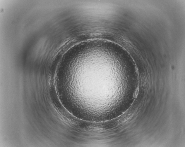 X0000060810648200511141507