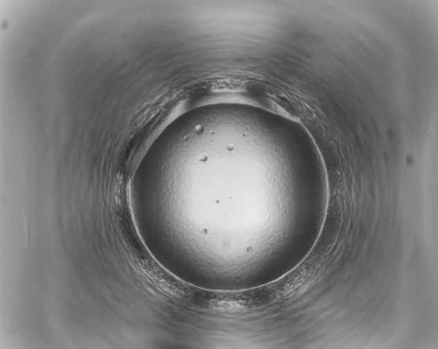 X0000060810649200511141507