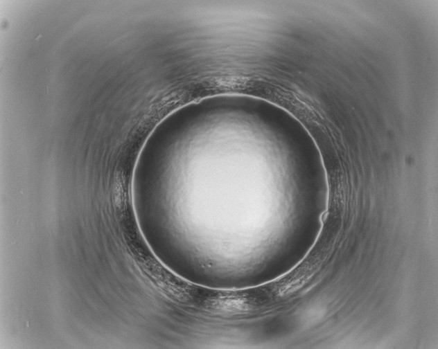 X0000060810651200511141507