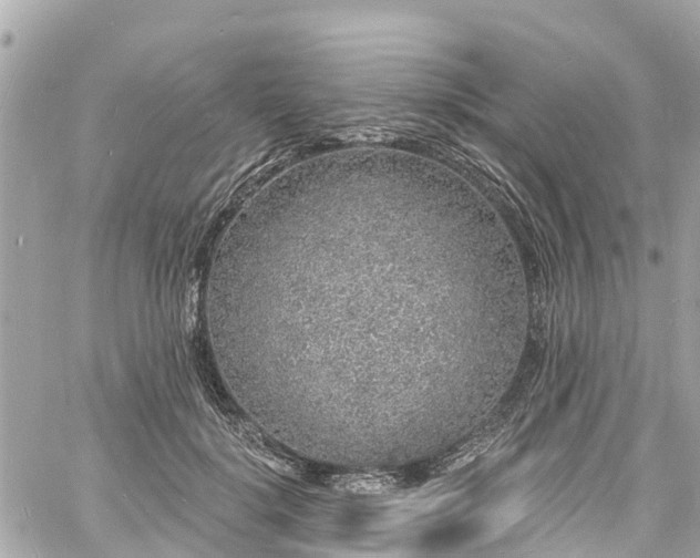 X0000060810652200511141507