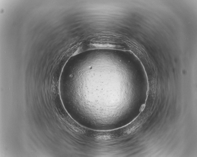 X0000060810653200511141507