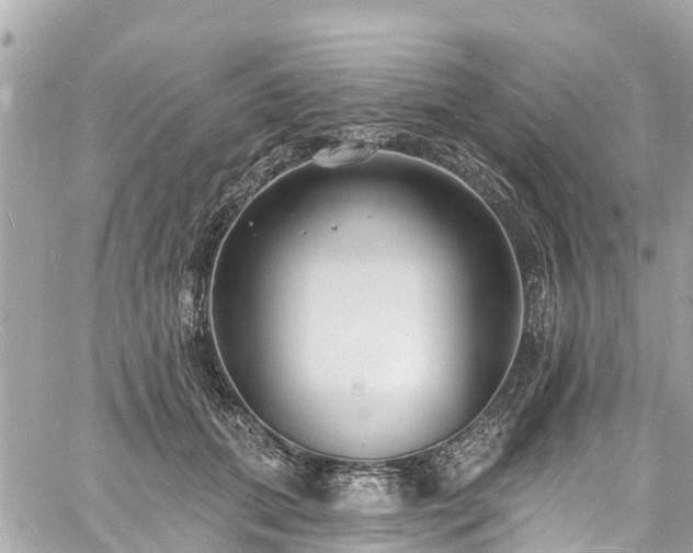 X0000060810655200511141507