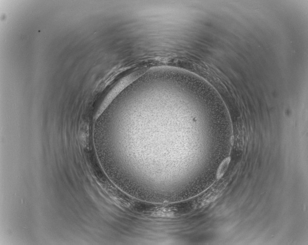 X0000060810656200511141507