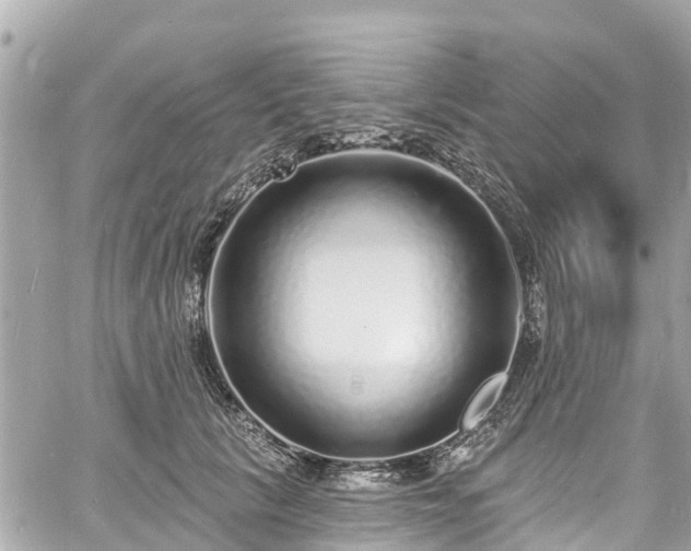 X0000060810657200511141507