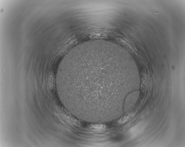 X0000060810659200511141507