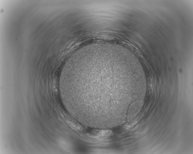 X0000060810663200511141508