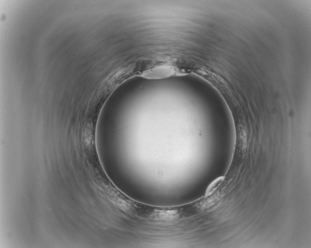 X0000060810665200511141508