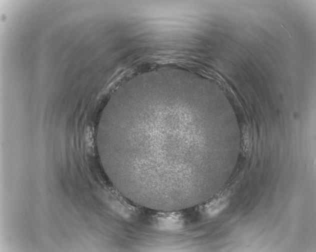 X0000060810667200511141508