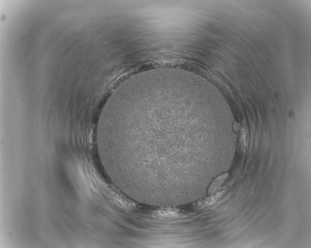 X0000060810668200511141508