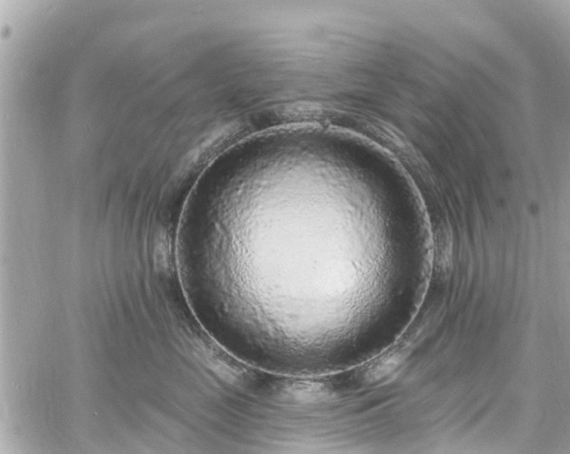 X0000060810669200511141508