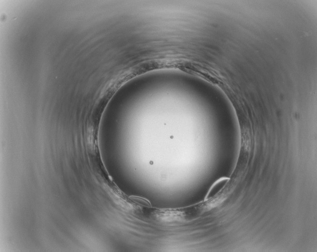 X0000060810670200511141508