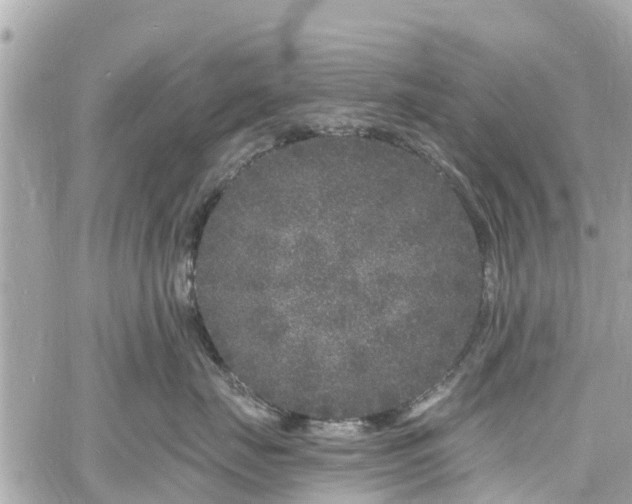 X0000060810671200511141508