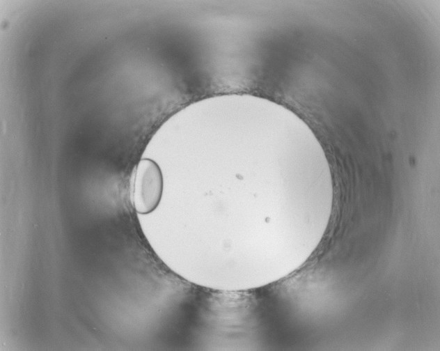 X0000060810672200511141508