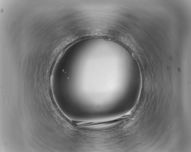 X0000060810673200511141507