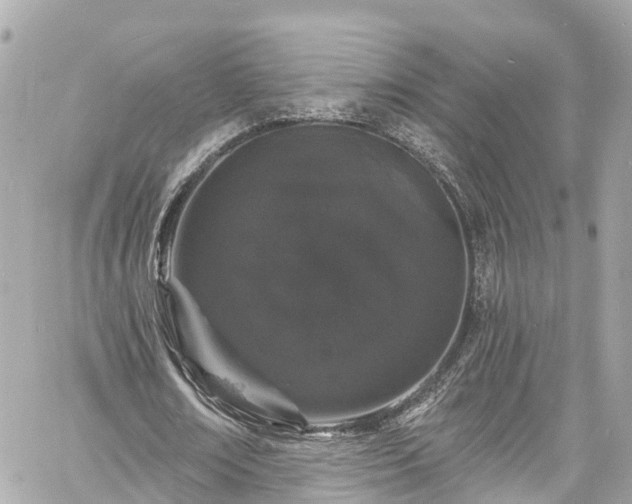 X0000060810674200511141507