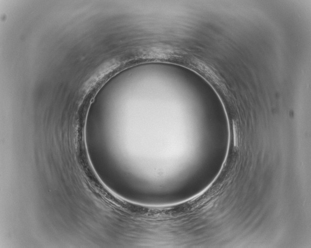 X0000060810675200511141507