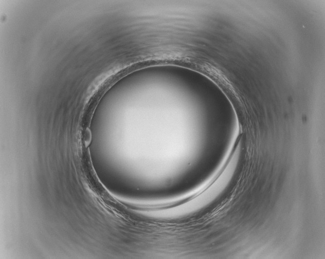 X0000060810676200511141507