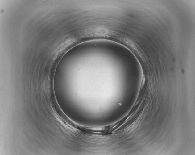 X0000060810677200511141507