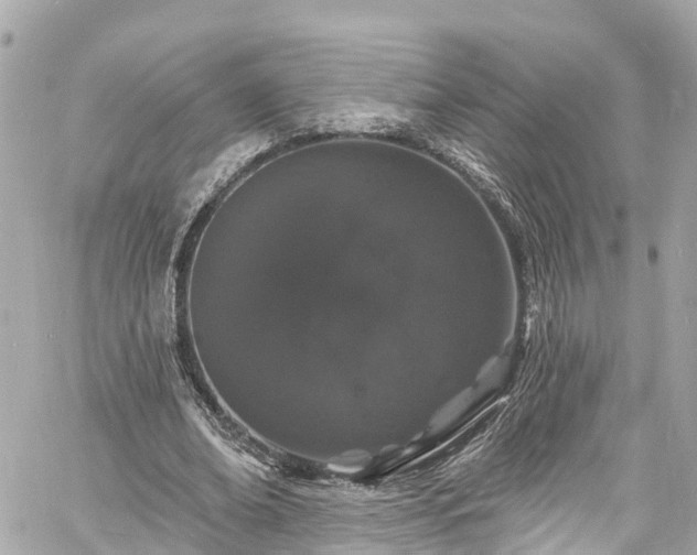 X0000060810678200511141507