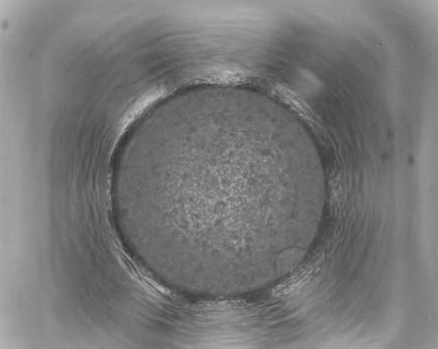 X0000060810679200511141507