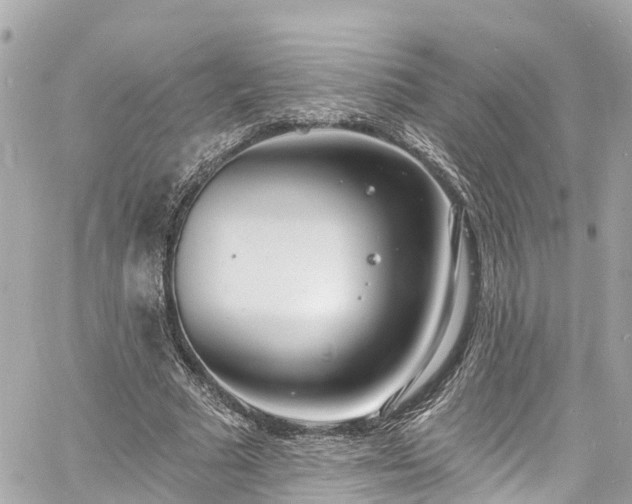 X0000060810681200511141507