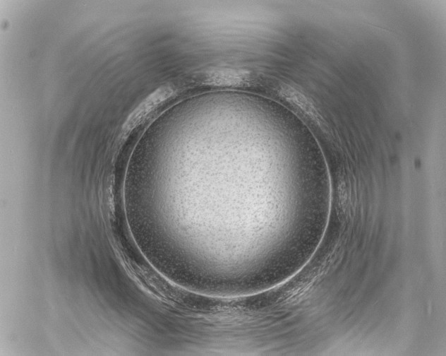 X0000060810682200511141507