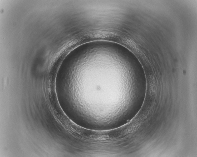 X0000060810683200511141507