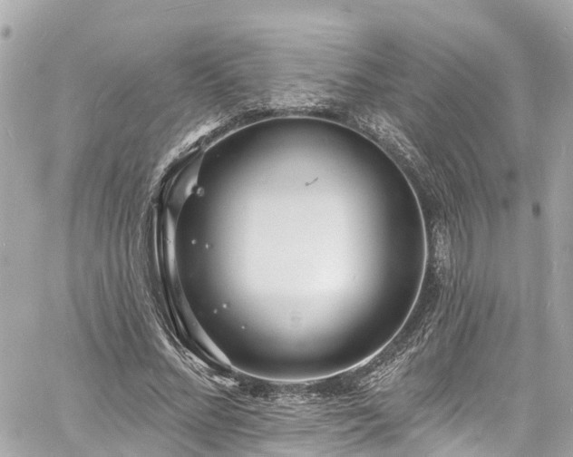 X0000060810684200511141507