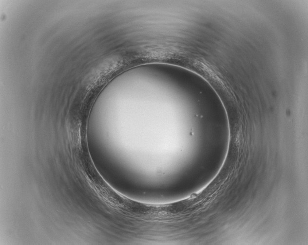 X0000060810685200511141507