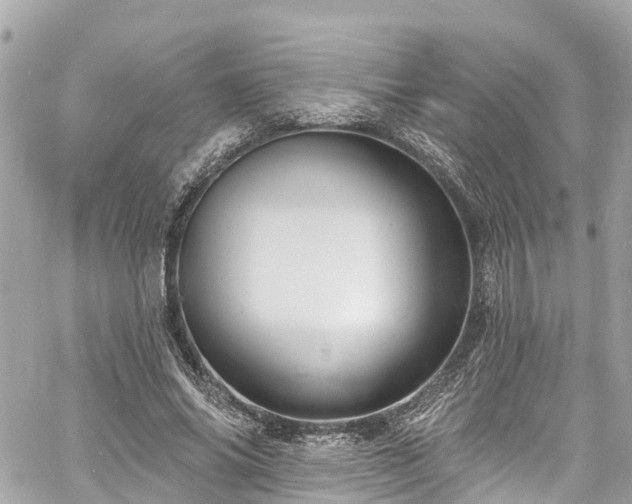 X0000060810686200511141507