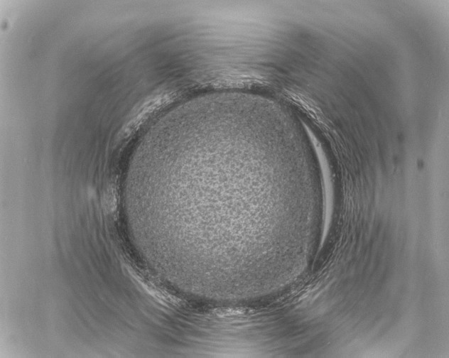 X0000060810687200511141507