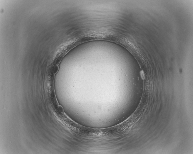 X0000060810688200511141507