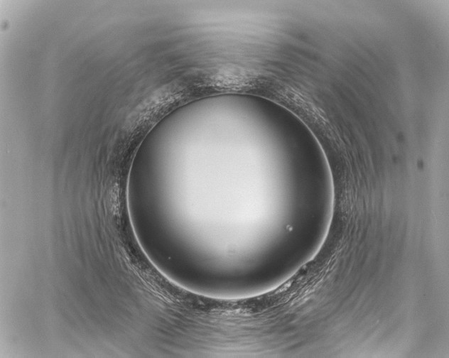 X0000060810689200511141507