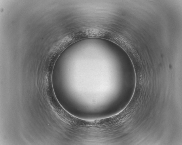 X0000060810690200511141507