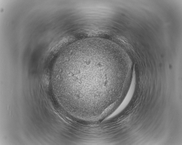 X0000060810691200511141507