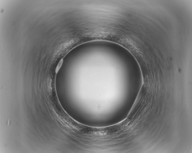 X0000060810692200511141507