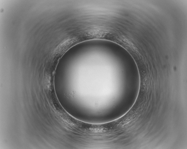 X0000060810693200511141507