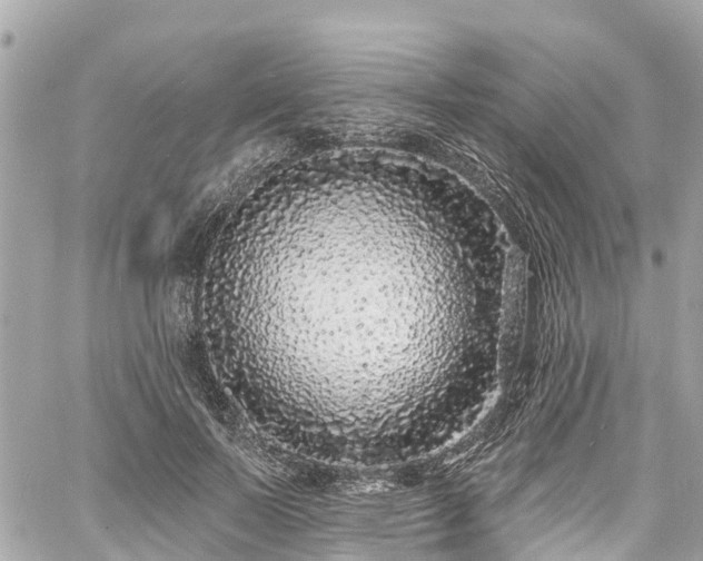 X0000060810695200511141506