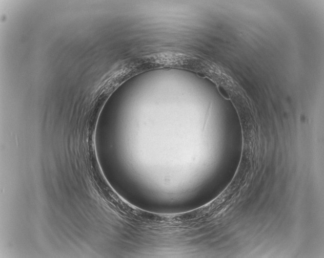 X0000060810696200511141506