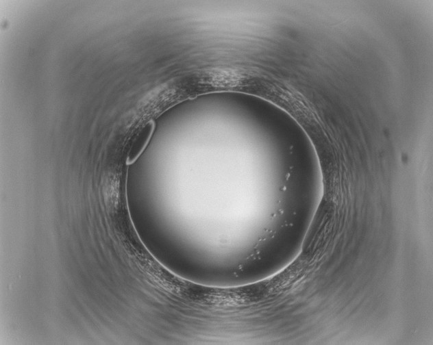 X0000060810697200511141506