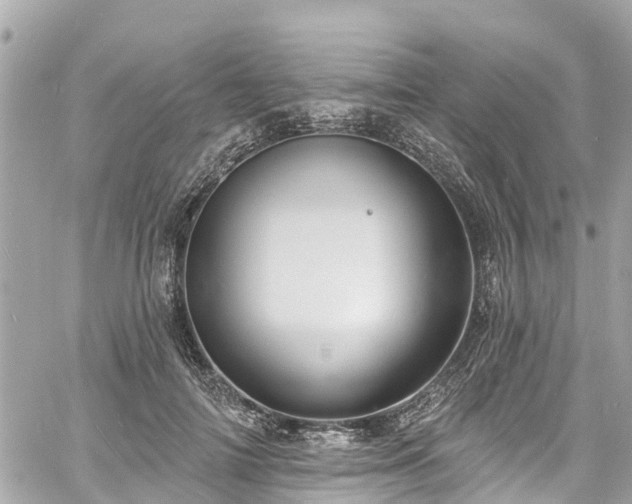 X0000060810698200511141506