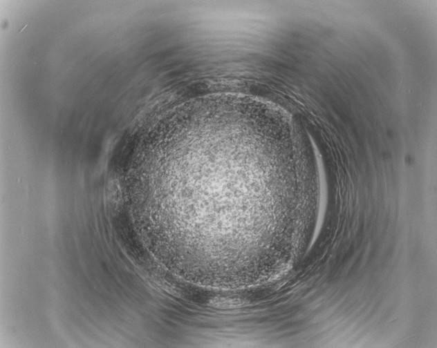 X0000060810699200511141506