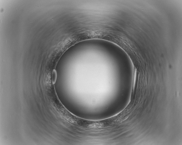 X0000060810700200511141506