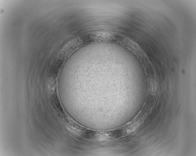 X0000060810701200511141506