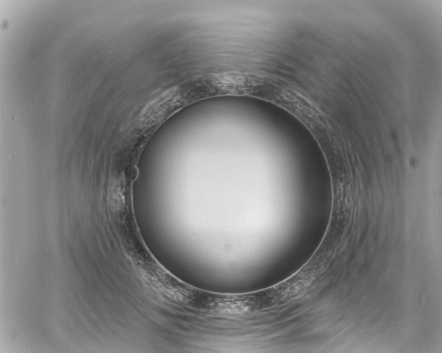 X0000060810702200511141506