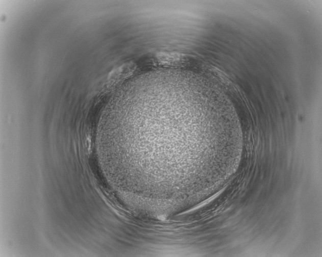 X0000060810703200511141506