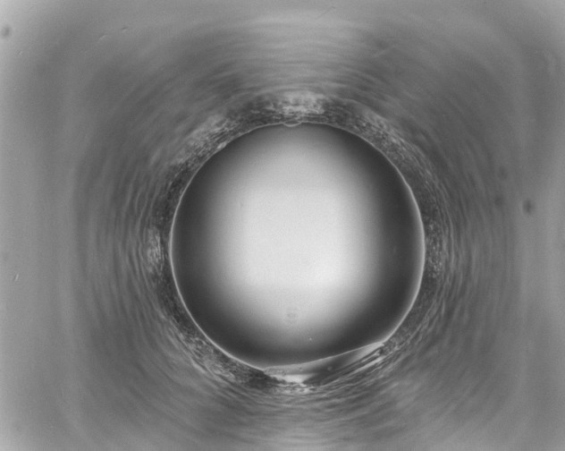 X0000060810704200511141506